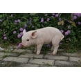 thumbnail image 4 of Hi-Line Gift Statue de Cochon Debout, 4 of 5