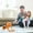 Brown, variant on Toys for Boys 5-7 Walking Ponys Plush Interactive Ponys Toy Singing Dancing Musical Realistic Ponys Pet, Stuffed Shaking Leash Horse Toy Buttocks Toy For Boys Girls Toys for Boys 5-7 on Clearance