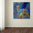 thumbnail image 3 of Trademark Fine Art 'Dream' Canvas Art by Oxana Ziaka, 3 of 3