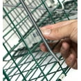 Oxgord Live Animal Trap Humane Catch & Release Cage Raccoon Cat Rabbit