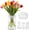 White-1pc, variant on Silicone Flower Frog, Flexible, for Vases
