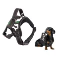 thumbnail image 1 of Pechera Arnes De Seguridad Para Perro,ajustable Y Comoda, 1 of 4