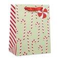 thumbnail image 1 of Holiday Time Green Candy Cane Small Christmas Paper Gift Bag, 1 of 5