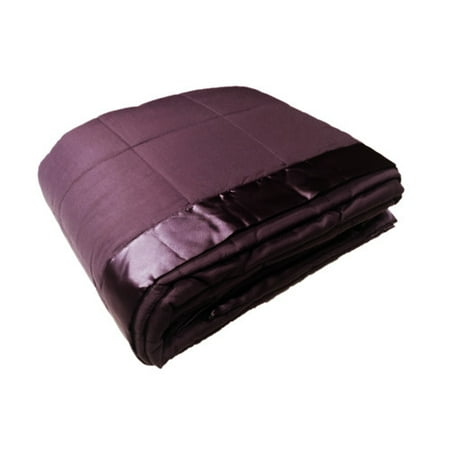Cozy Fleece Down Alternative All Seasons Blanket with ...