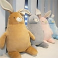 thumbnail image 3 of PHENAS Plush Bunny Stuffed Animal Toy Super Soft Easter Rabbit Plush Toy for Girls and Boys Easter Birthday Gift, 3 of 6