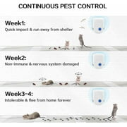 Ultrasonic Pest lent Indoor, Pest Control for Rodents, Mosquitoes, Ants, Cockroaches, Rat, Mice, Fleas, Beetles and Other Insects, Non-Toxic, Safe for Humans, Home, Office, Hotel (6 Packs)