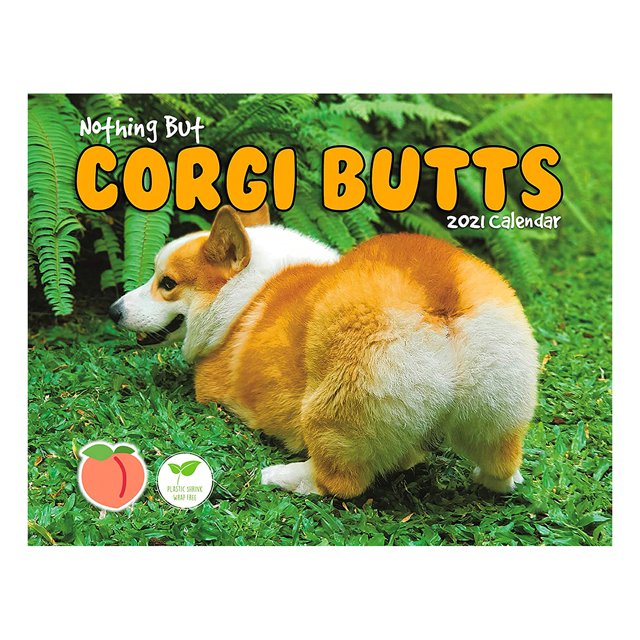 Corgi Butts Calendar 2021 Funny Dog Calendar Decoración Para Sala De Estar Dormitorio Speravity HA015843-00