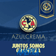 thumbnail image 5 of Portería de Futbol para Niños Plegable 62x35cm-Club América, 5 of 5