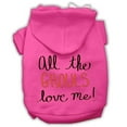 thumbnail image 4 of Halloween Pet, Dog  Cat Hoodie Screen Printed, "All The Ghouls Love Me", 4 of 10