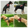 thumbnail image 4 of No Pull Dog Pet Harness Adjustable Control Vest Dogs Reflective XS S M Large XL, 4 of 6