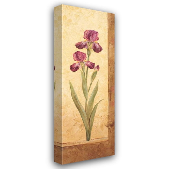 Pamela Gladding 16x40 Gallery Wrapped Canvas Wall Art Titled - Grandiflora II