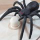 thumbnail image 4 of ZK- Prank Spider Surprise Box Rubber Spider Prank Box Tricky Spider Wood Box, 4 of 5