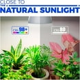 thumbnail image 6 of LED Grow Light Bulb with Timing and Hanging System, 25W Full Spectrum, 4H/9H/14H Timer, Hanging Grow Lights for Indoor Plants with 16.4FT Power Cord, Plug in Pendant Light for Plants, 6 of 6