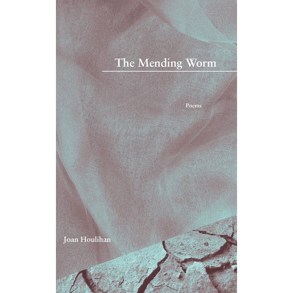 The Mending Worm (Paperback)