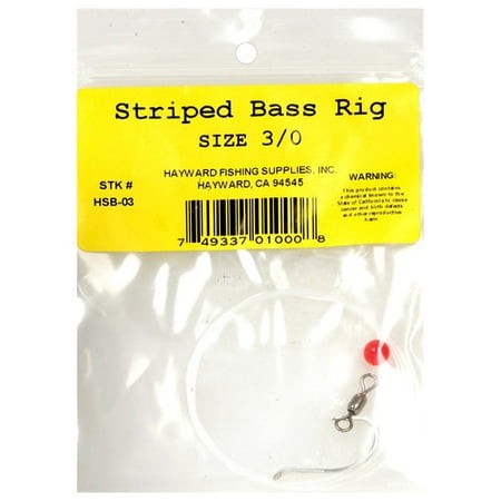Hayward Striped Bass Rig (Best Bass Rig For Gigging)