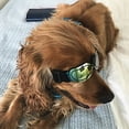 thumbnail image 6 of Visland Dog Goggles UV Adjustable Pet Sunglasses Eye Wear UV Waterproof Windproof for Medium Small Dog, 6 of 8