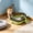 Green, variant on Semi Enclosed Cat Litter Box with High Sides, Splash Proof Kitty Litter Pan with Scoop, Spacious Open Top Cat Toilet Tray, Easy Clean Plastic Litter Box for Small Cats and Kittens