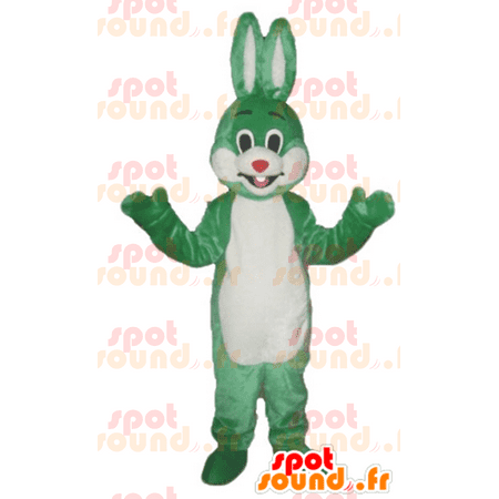 SPOTSOUND mascot of green and white rabbit, smiling and original ...