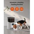 thumbnail image 3 of Comedero automático para gatos WOPET 6L WiFi Control con grabadora de voz, 3 of 6
