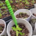 thumbnail image 4 of Sembrador De Semillas De Plástico Sembradora de plantas de césped, dispensador multifuncional de semillas de siembra, Mini herramienta para plantas de jardín, 4 of 6