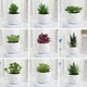 thumbnail image 2 of Planta suculenta artificial en maceta, cactus pequeños de imitación, decoración para interiores y exteriores, U7G6, 2 of 6