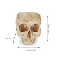 thumbnail image 3 of Halloween Decorations Party,Resin Skull Flower Pot Skull Succulent Flower Pot Personalized Flower Pot Decoration Halloween Skull Head Props,Flowers for Decoration, 3 of 3