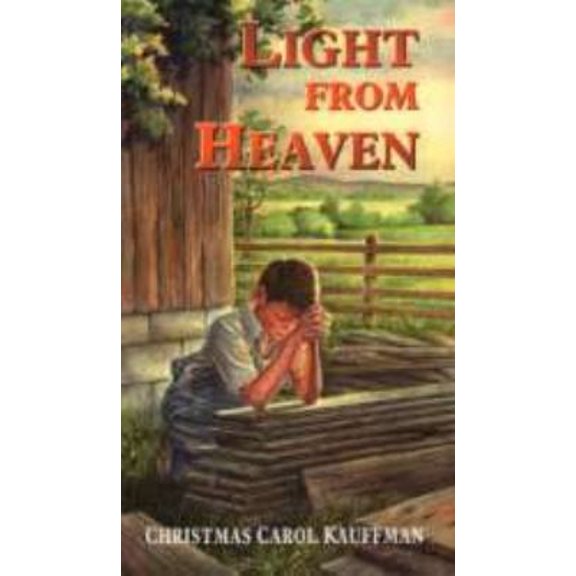 Pre-Owned Light from heaven (Paperback) 087813963X 9780878139637
