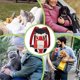 thumbnail image 3 of Pet Backpack Carrier Cat Adjustable Carrier Bag with Legs Out Portable Puppy Accessories for Small Medium Dogs Small Pet, 3 of 5