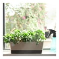thumbnail image 2 of Planter Windowsill Box,Black Rectangle Planter Box with Drainage Holes and Trays,Resuable Herb Garden Holder for Flowers or Succulents, 2 of 6