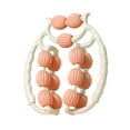 thumbnail image 3 of ador de piernas Roller Massage Massage Relajación muscular Roller Ejercicio 360 Grado 15 Naranja, 3 of 8