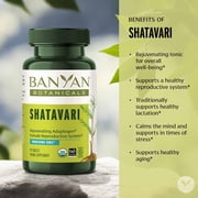 Banyan Botanicals Shatavari Tablets – Organic Asparagus Racemosus Root – Rejuvenating Adaptogen Tonic that Supports a Healthy Reproductive System* – 90 Tablets – Non GMO Sustainably Sourced Vegan