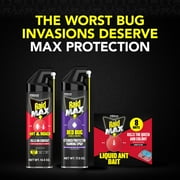 (2 pack) Raid Max Bed Bug & Flea Foaming Spray, 8 Week Residual Protection Bed Bug Control, 17.5 oz