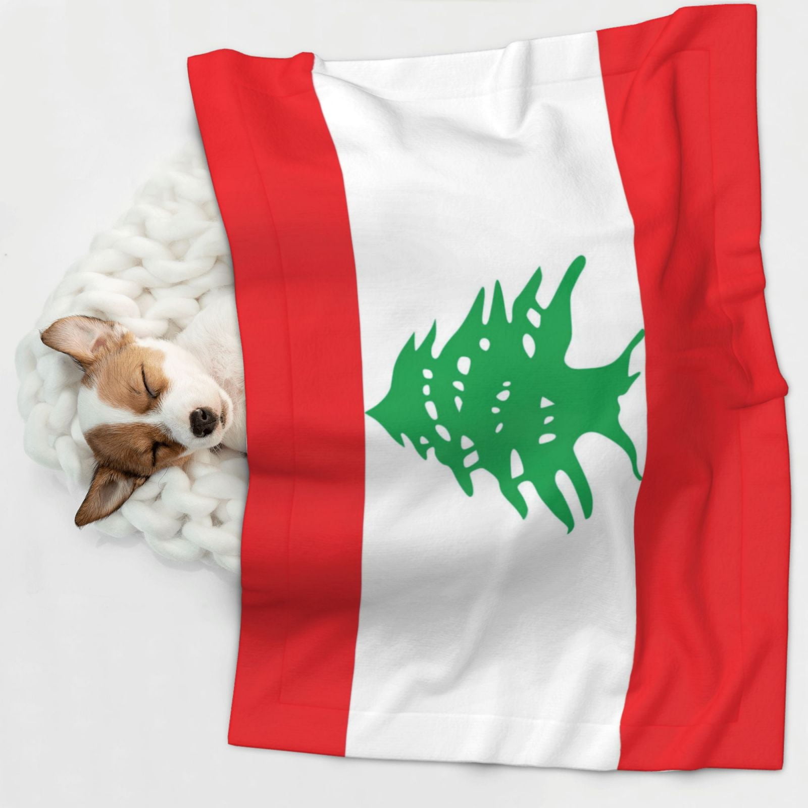 Flannel Throw Dog Blanket Lebanese Flag Soft Warm Print Pet Blankets for Small Dog Cat Puppy