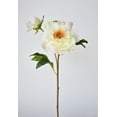 thumbnail image 2 of 22.5" Faux Peony Stem w/Bud Cream White, 2 of 6