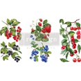 thumbnail image 1 of Mercadotecnia prima Prima Marketing RE657376, 1 of 1