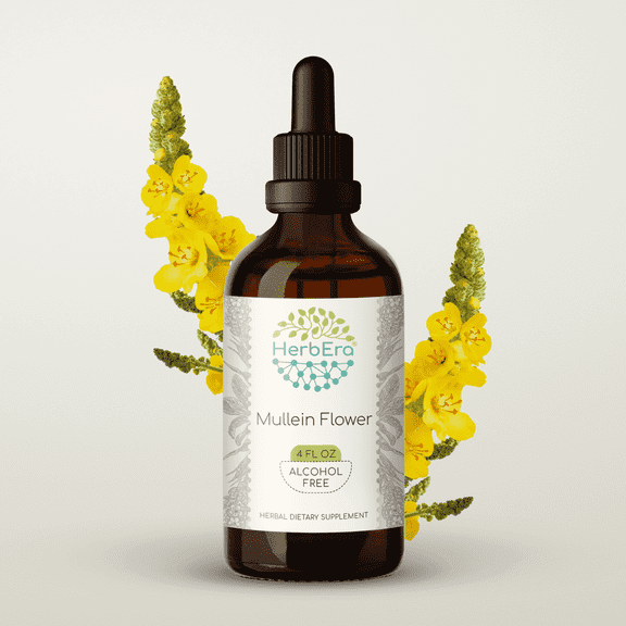 HerbEra Mullein Flower Tincture, Herbal Dietary Supplement for Vitality Support, Mullein (Verbascum Thapsus) Dried Flower Extract, Natural, Alcohol-Free, Drops 4 oz
