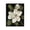 Blooming White Magnolia Bouquet, variant on Stupell Industries Traditional Budding Magnolia Blooms Black Framed Giclee Art, 11 x 14, by Nan