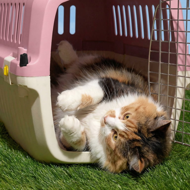 Plastic Travel Pet Kennel with Clip-On Bowl, 20" photo 7
