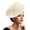 Beige, variant on Fascinators Hat Flower Mesh Feathers Hat with a Headband and a Clip Tea Party Headwear for Women