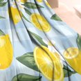 thumbnail image 3 of Yellow Lemon Fruit Flowers BlueWhite Pattern Blanket,Comfortable Soft Flannel Throw Blanket,All Season,Warm Lightweight Blankets for Sofa Bed Couch Living Room Chair,60"x80", 3 of 4
