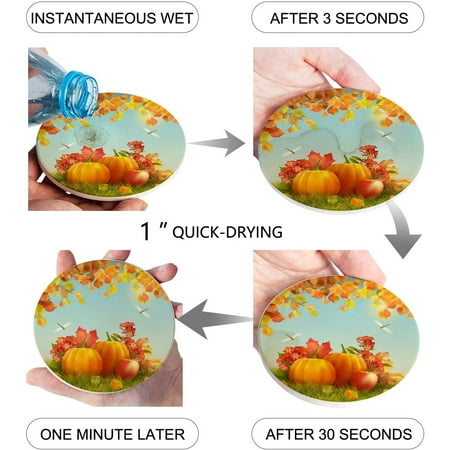 

ZHANZZK Pumpkin Set of 4 Round Coaster for Drinks Absorbent Ceramic Stone Coasters Cup Mat with Cork Base for Home Kitchen Room Coffee Table Bar Decor