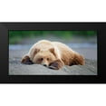 thumbnail image 2 of PHBurchettÂ&nbsp; 24x14 Black Modern Framed Museum Art Print Titled - Custom Bear Life X, 2 of 5
