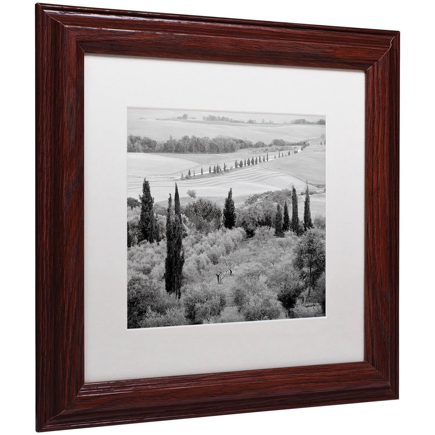 Trademark Fine Art "Tuscany X" Canvas Art by Alan Blaustein, White Matte, Wood Frame