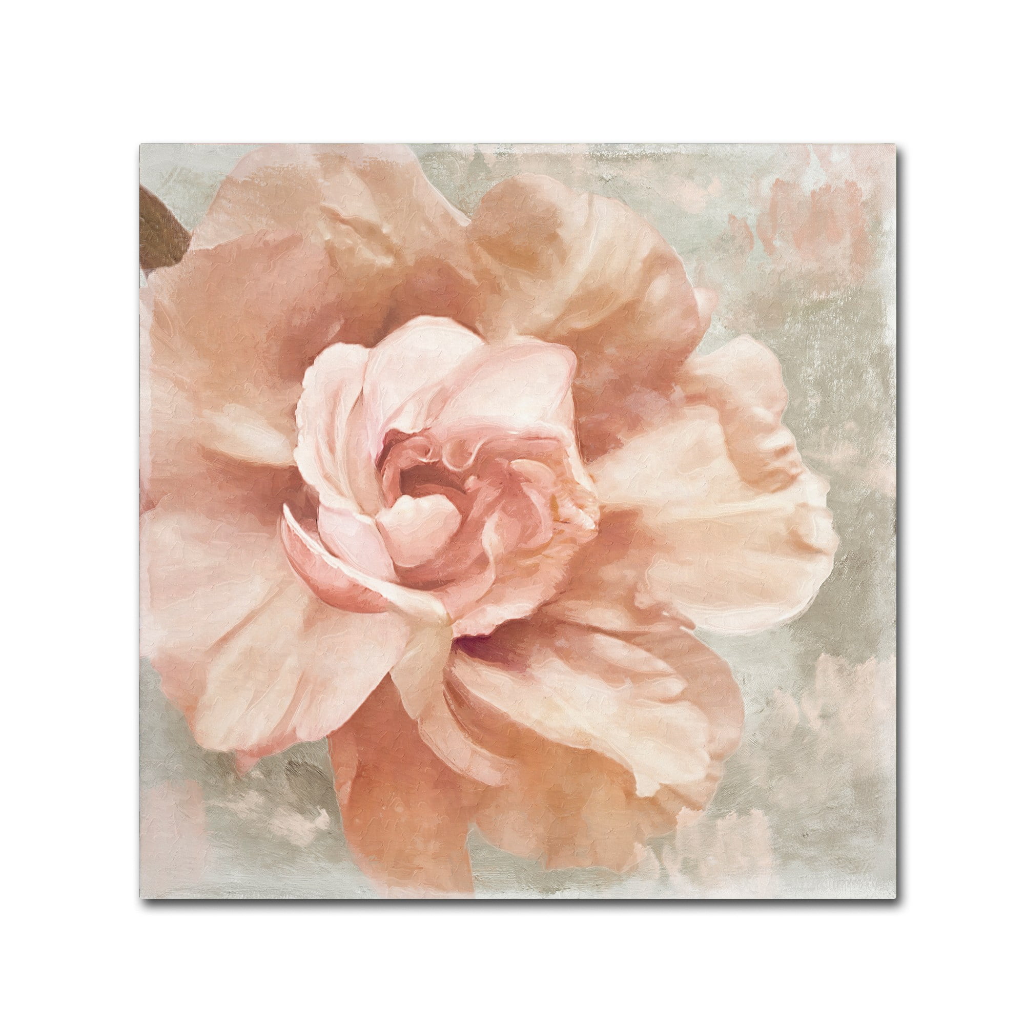 Trademark Fine Art "Petals Impasto I" Canvas Art by Color Bakery