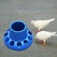 thumbnail image 3 of Alimentador de pollos, dispensador de cubo de alimentación de pájaros, cuenco para patio trasero, 11 agujeros para , , codorniz,, 3 of 9