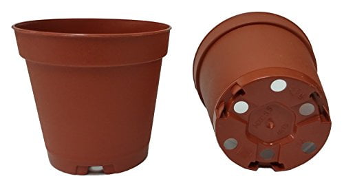 100 New 2 Inch Plastic Nursery Pots ~ Pots are 2 Inch Round at The Top and 1.9 Inch Deep Color Terracotta 