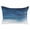 Lake Blue, variant on Sage Green Eucalyptus Leaves Pillow Covers 20x26 Inch Standard Size, Farmhouse Stripe Botanical Decorative Pillowcase with Zipper, Microfiber Breathable Pillowcases for Sofa Bed Living Room
