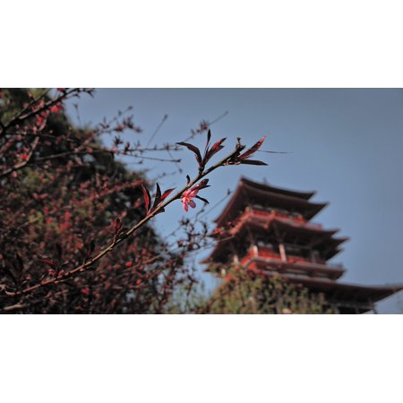 Canvas Print Trees Attic Flowers Ancient Architecture Stretched Canvas 10 x 14
