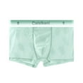 thumbnail image 2 of zeranth Men Summer Shorts Briefs Mid-rise Elastic Waist Thin Underwear Transparent Mesh Ice Silk Seamless Solid Color Quick Drying Shorts Panties, 2 of 7