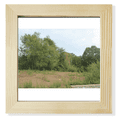 thumbnail image 1 of Jungle Art Deco Fashion Square Picture Frame Wall Tabletop Display, 1 of 3